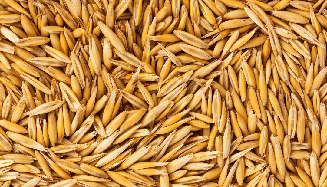 Projekt bez nazwy   5