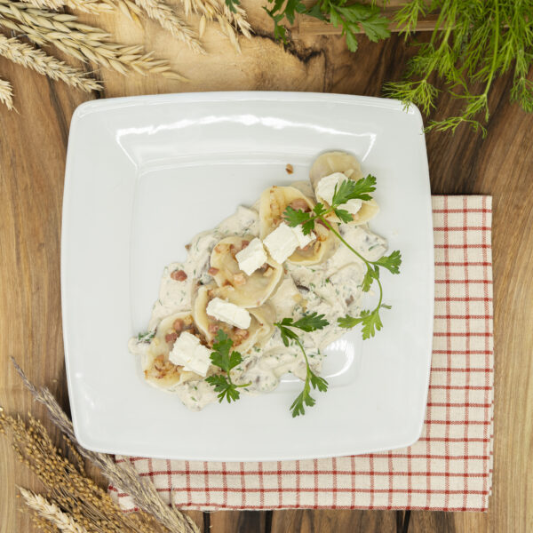 WARMIA I MAZURY   DANIE