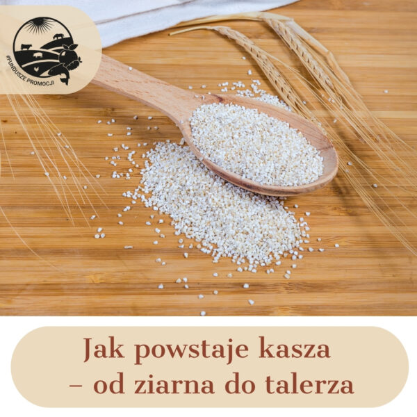 Jak powstaje kasza